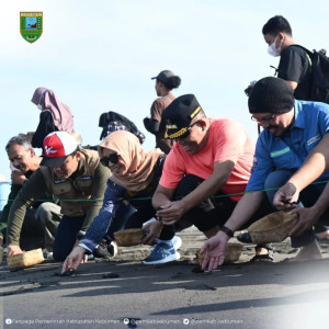 Untuk Pertama Kalinya Andy F Noya Lepas Puluhan Tukik di Pantai Kaliratu Kebumen